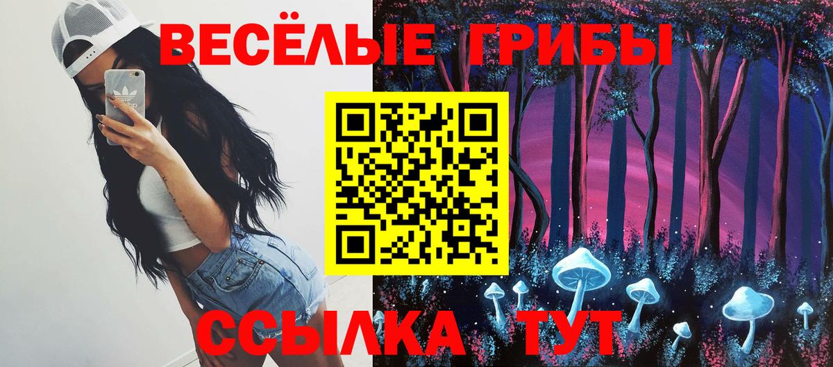 Галлюциногенные грибы GOLDEN TEACHER Добрянка